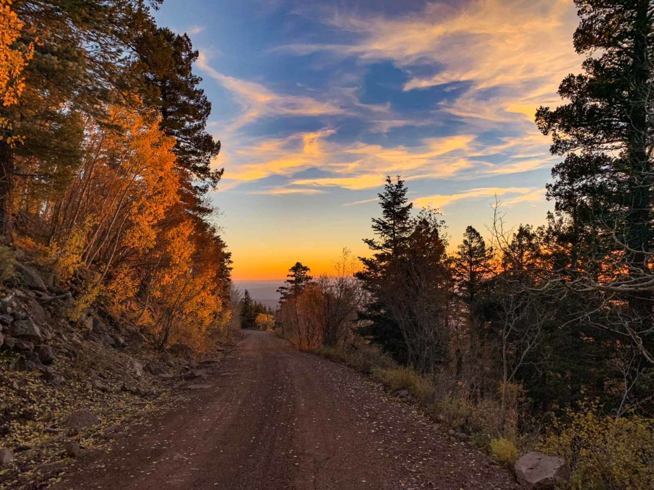 Dirt road to the summit of Bill Williams Mountain