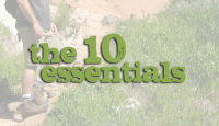 10-essentials