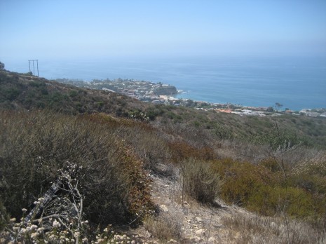 Coastline