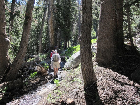 Most of the trail is forested