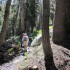 Most of the trail is forested Most of the trail is forested