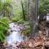 Cascades in Holy Jim Canyon Cascades in Holy Jim Canyon