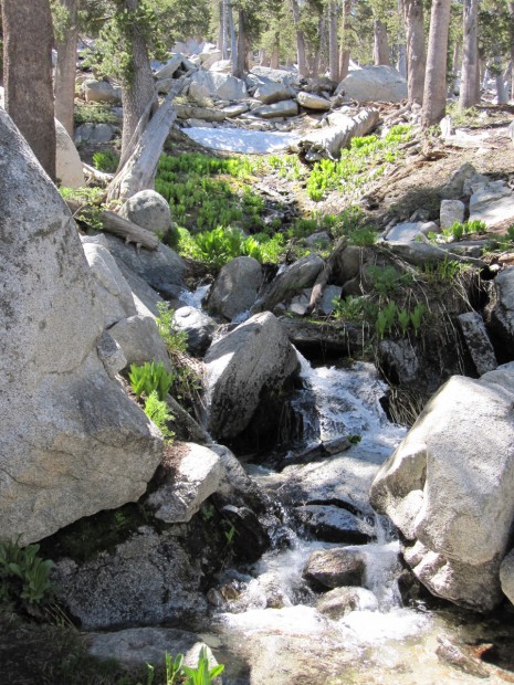 One of many little creeks