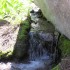 Rivulet Rivulet
