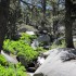 Snow-fed creek Snow-fed creek