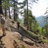 Switchbacks Switchbacks