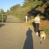 IMG_0710 IMG_0710