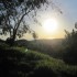 IMG_0711 IMG_0711
