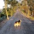 San Clemente's Ridgeline Trail
