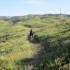 Working our way across the top of Catalina