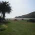 Little Harbor campground