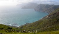 The rugged and beautiful Catalina coastline The rugged and beautiful Catalina coastline