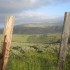Pastoral vista