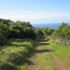 A peaceful trail.