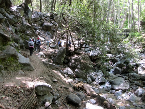 Lower Winter Creek trail