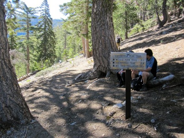 Icehouse Saddle Junction
