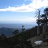 IMG_1894 IMG_1894