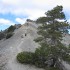 IMG_1905 IMG_1905