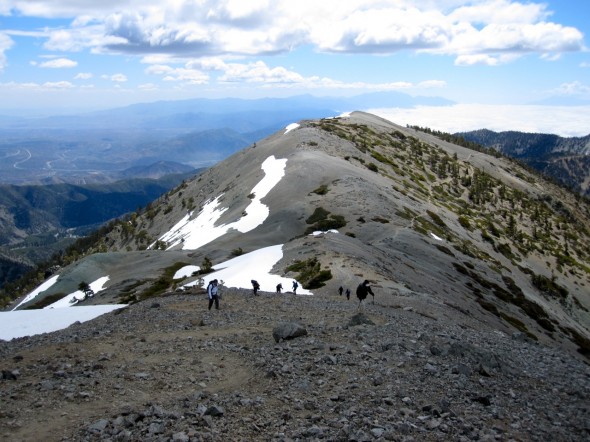 Mt Harwood from the trail up Baldy