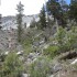IMG_1944 IMG_1944