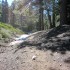 First Signs of Snow at 8200' First Signs of Snow at 8200'