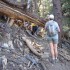 More fallen trees More fallen trees