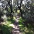 Canyon Trail