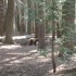 Bear! Bear!