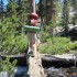 Expert log crossing Expert log crossing