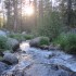 Deer Creek Deer Creek