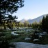 Rosemarie Meadow Rosemarie Meadow