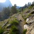 Towards Rae Lakes Towards Rae Lakes