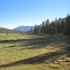 Meadow Meadow