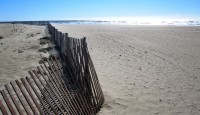 Fenceline