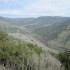 IMG_3138 IMG_3138