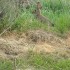 IMG_3143 IMG_3143