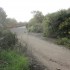 IMG_3193 IMG_3193