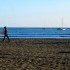 Doheny is popular among beginning surfers
