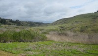 Salt Creek Trail Views stretching out to the ocean