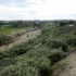 IMG_3704