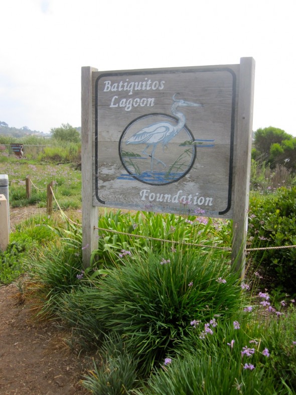 Welcome to the Batiquitos Lagoon
