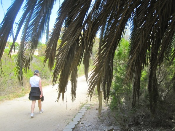 Impressive palms