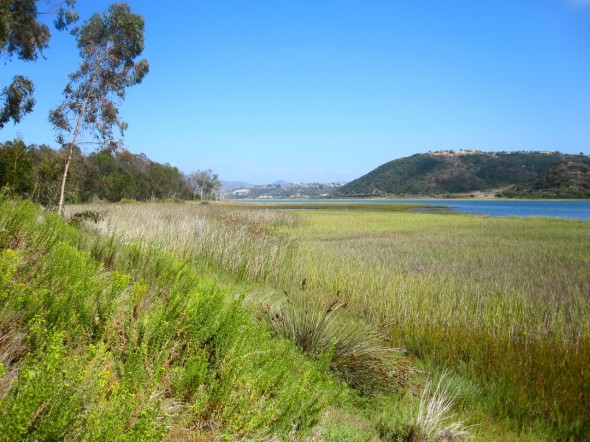 The natural beauty of the Batiquitos Lagoon shines year round