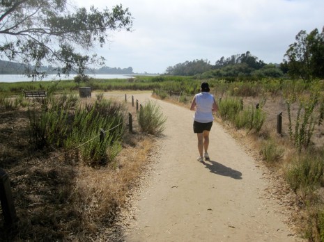 Heading back to the trailhead along the Batiquitos Lagoon