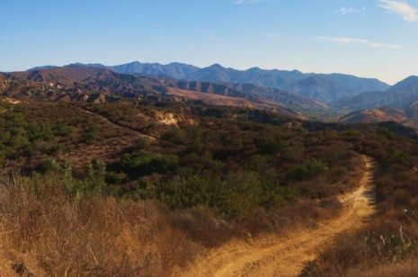 Find a Trail