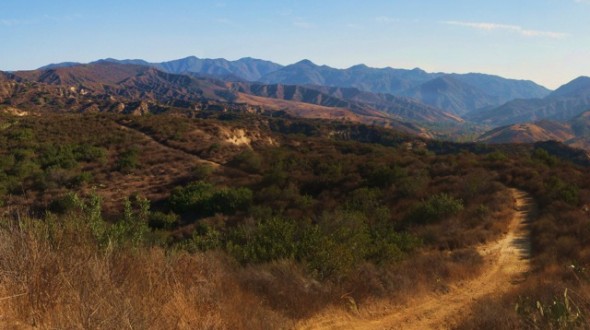 Find a Trail